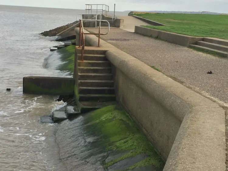 The Thames Estuary at Grains, 2015